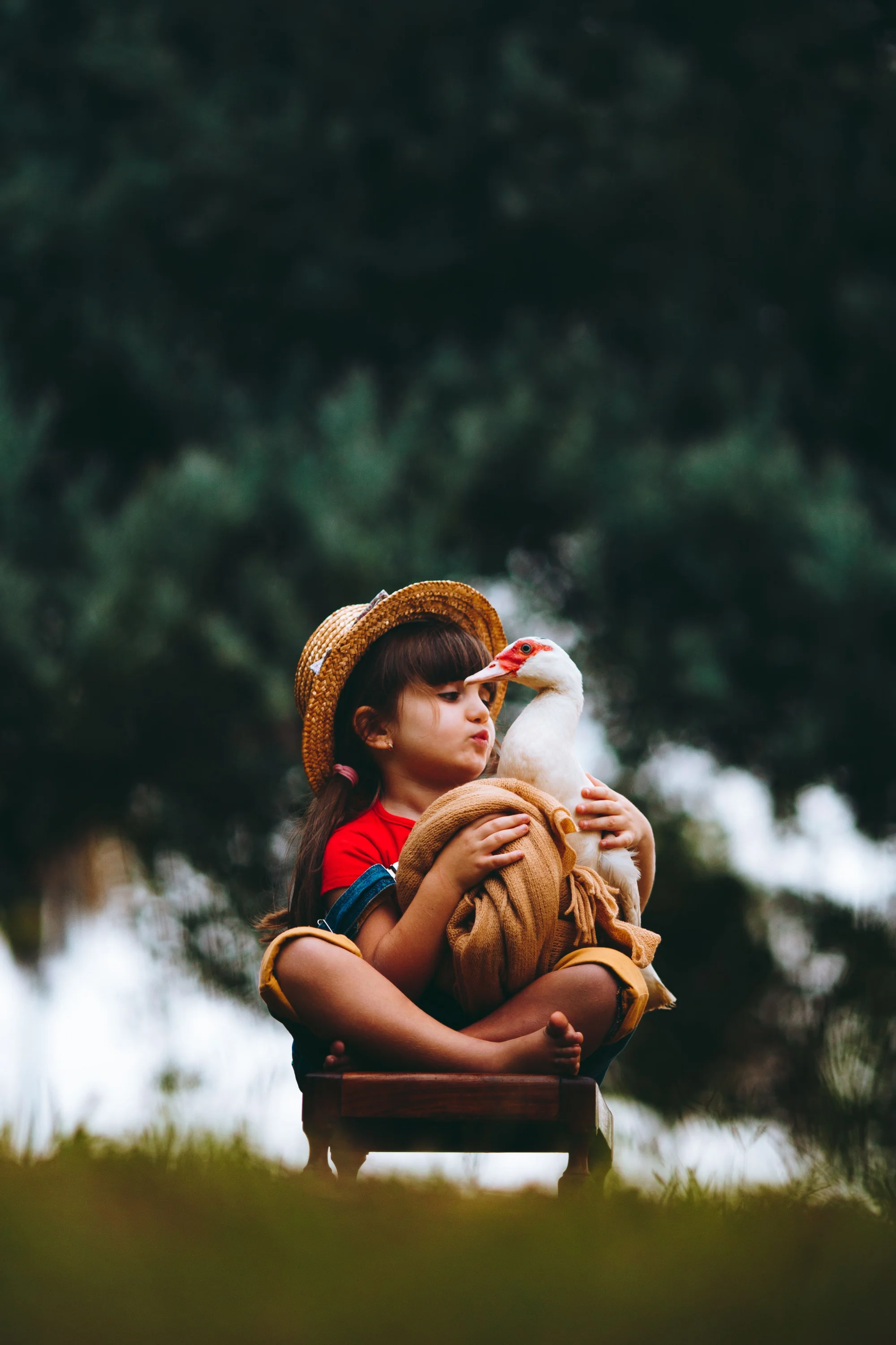 Bebek Mağazalarında Sezon İndirimleri: Ne Zaman Başlar?