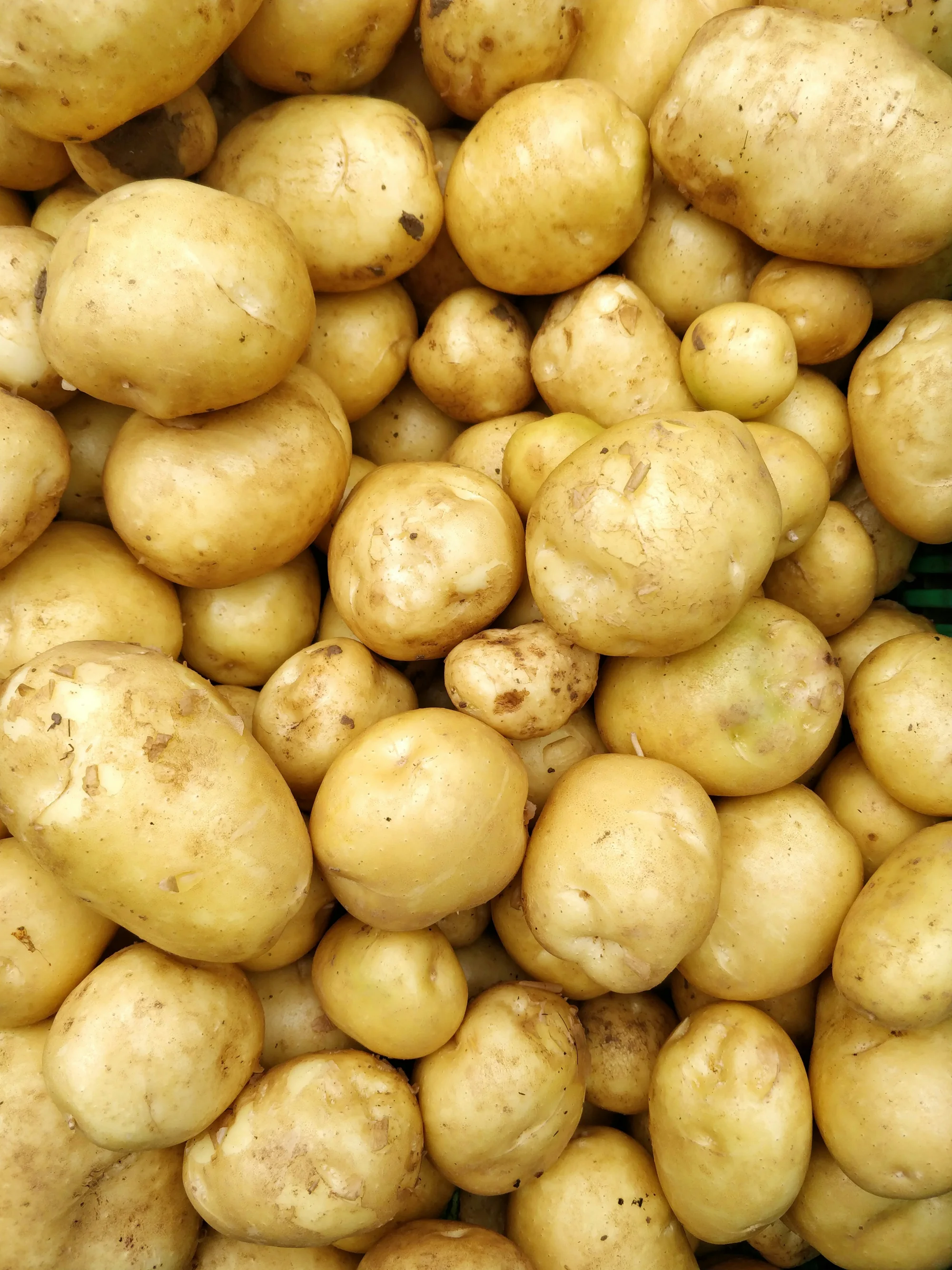 Patates: Hem Ekonomik Hem de Çok Yönlü Gıda